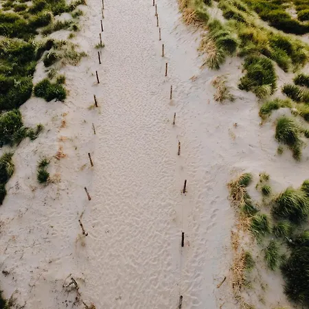 The Pine Tree Zandvoort