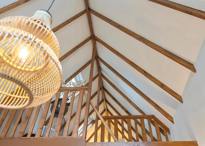 The Pine Tree * Zandvoort