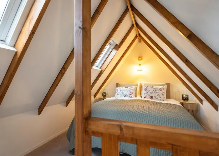 The Pine Tree * Zandvoort