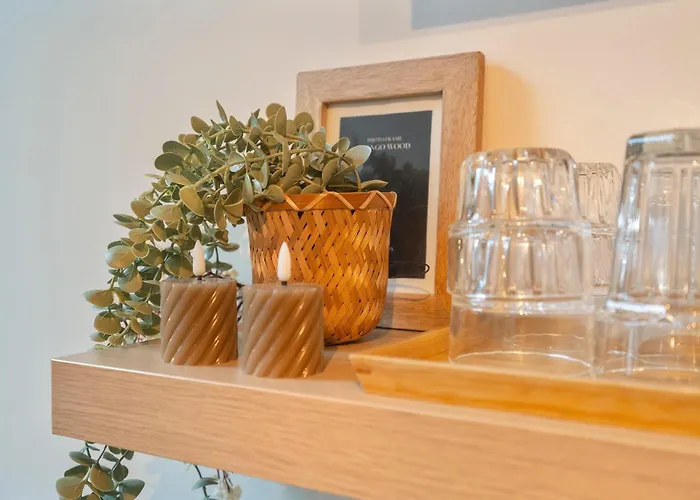 The Pine Tree Zandvoort