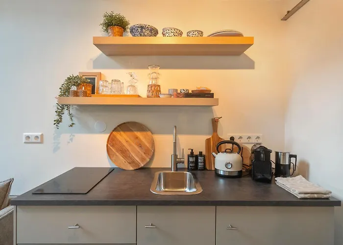 Semesterbostad The Pine Tree Zandvoort