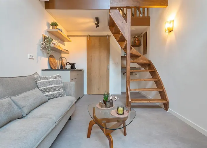 The Pine Tree Semesterbostad Zandvoort