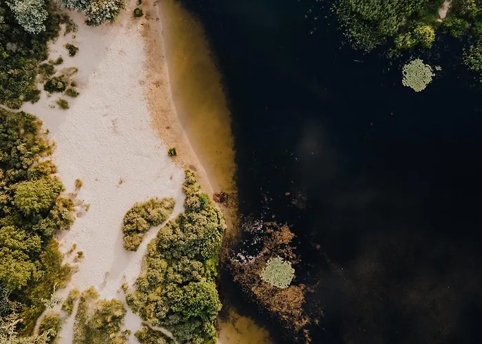 The Pine Tree Semesterbostad *