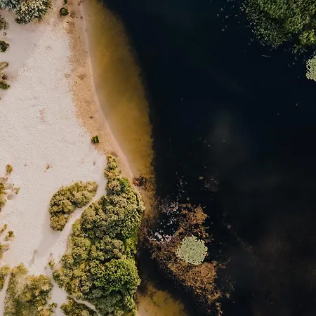 The Pine Tree בית נופש *