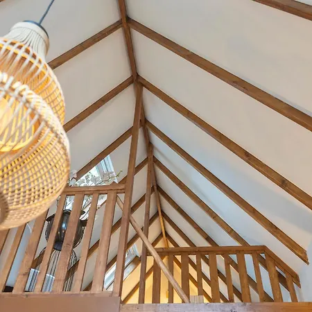 The Pine Tree * Zandvoort