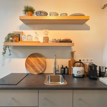 Holiday home The Pine Tree Zandvoort